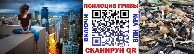 Купить где  Кувшиново  Галлюциногенные грибы ЛСД 